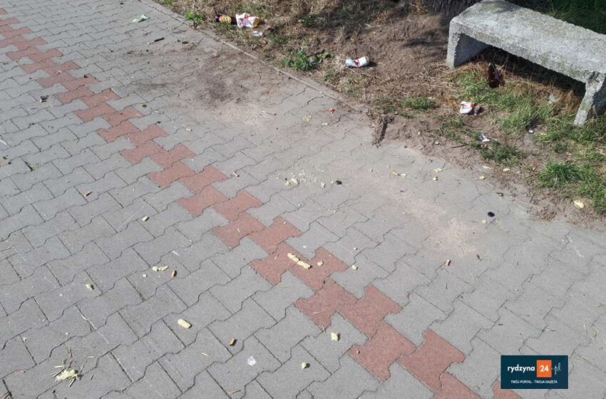  Kolejny alarm spacerowiczów