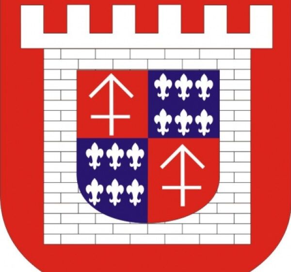  Obwieszczenie burmistrza MiG Rydzyna