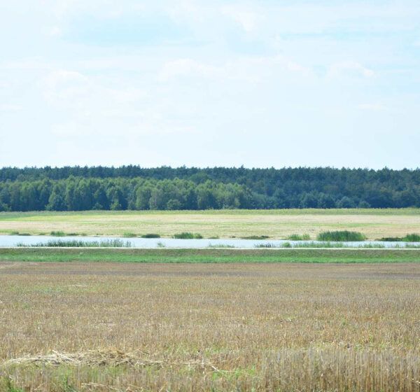  Pusta plaża nad Zalewem