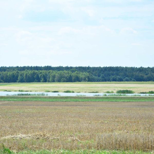 Pusta plaża nad Zalewem