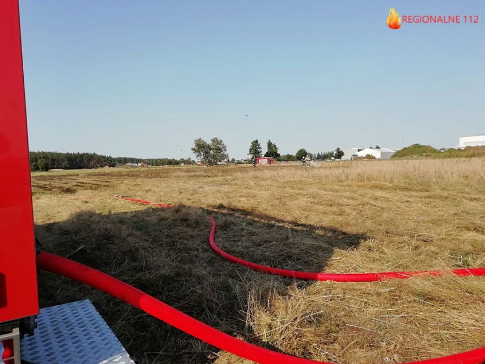 Pożar ścierniska po kukurydzy w Rydzynie