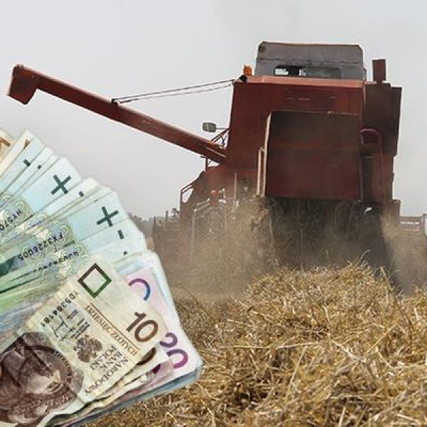 Susza 2018. 800 mln zł pomocy dla rolników