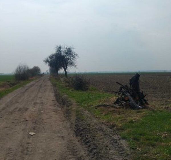  Pięć firm chce przebudować drogi w gminie