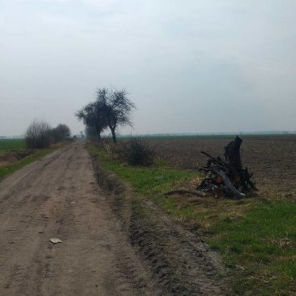 Pięć firm chce przebudować drogi w gminie