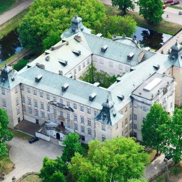 Wystawa bokserów, jamników i gończych polskich w Rydzynie