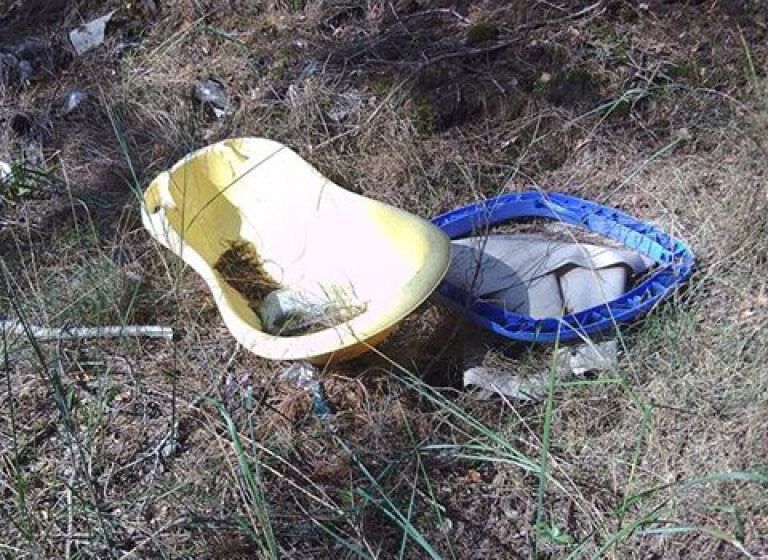  Niecodzienne grzyby w lesie pod Tarnową Łąką