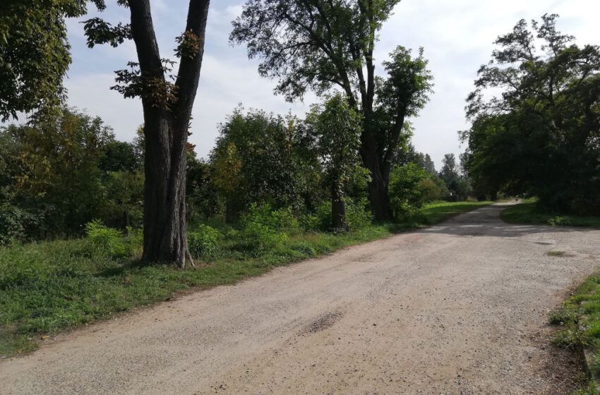  Niebezpieczeństwo na „Kasztanówce”