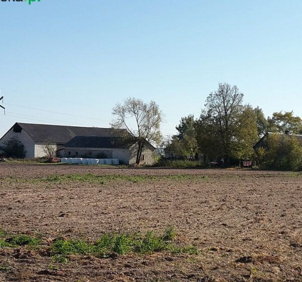  Podatek rolny. Podstawa na przyszły rok jest wyższa