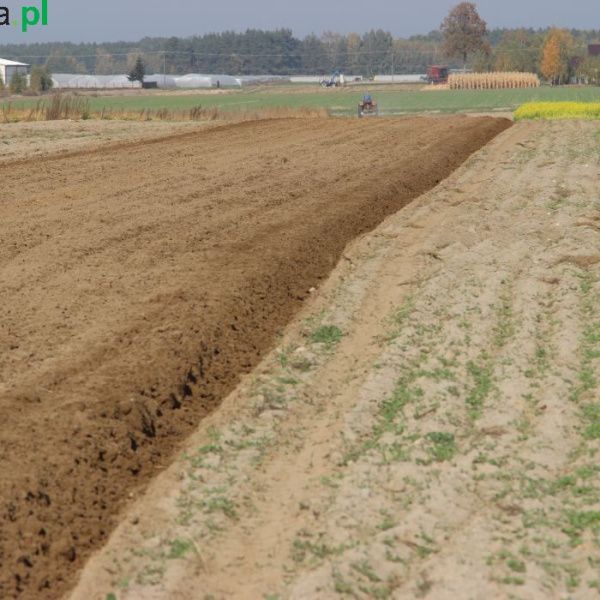 Państwowe grunty na sprzedaż. Tyle ziemi znalazło nabywców