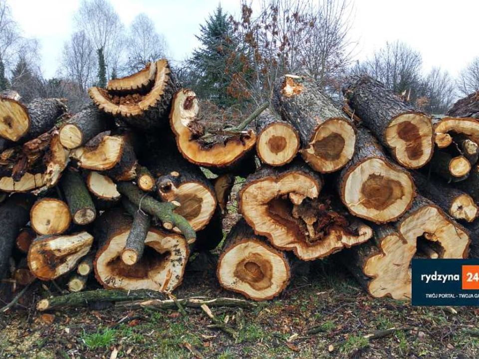 Bezpieczniej na „Kasztanówce”