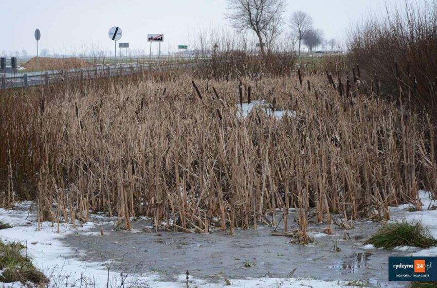  Gmina modernizuje kolejny staw