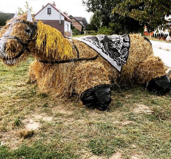  Witacz z Dąbcza na pierwszym miejscu