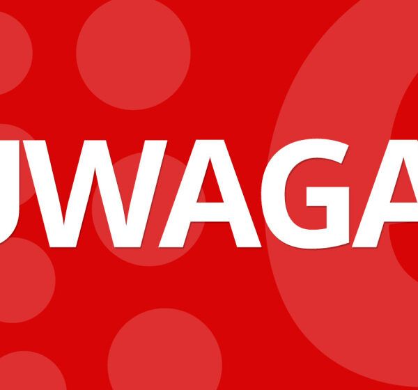  Zabłąkany pies na Łopuszańskiego