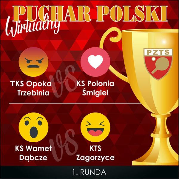 Wirtualny Puchar Polski tenisa stołowego