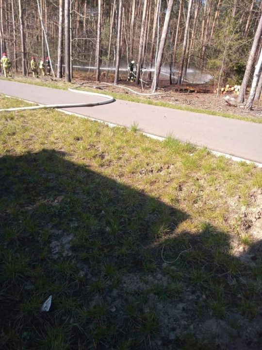 Pożar ściółki
