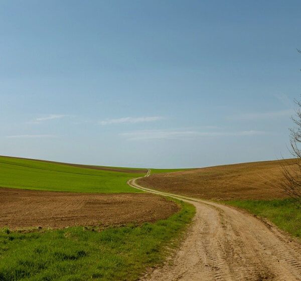  Kolejne pieniądze dla gminy Rydzyna