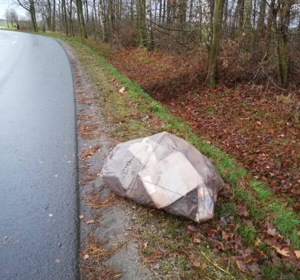  Mandat za śmiecenie