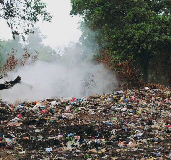 Świat tonie w plastiku. Rezygnacja z „foliówek” może pomóc środowisku