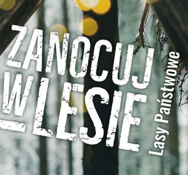  PROGRAM „ZANOCUJ W LESIE” W NADLESNICTWIE KARCZMA BOROWA