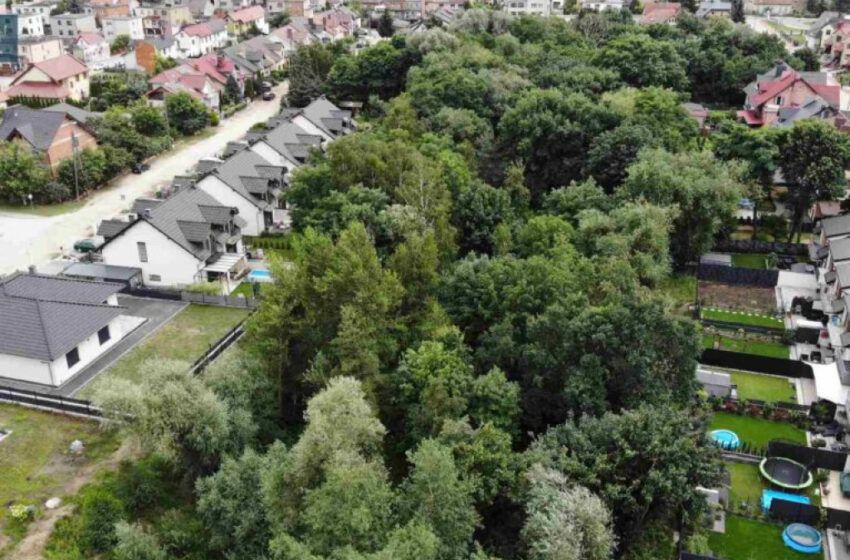  Ruszyły prace na „Młyńskiej Górze” [VIDEO]
