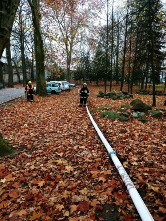 Ćwiczyli w Osiecznej