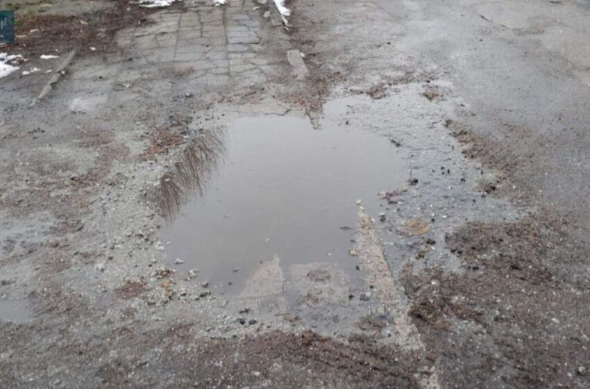  Wycieli krzaki, naprawią chodnik
