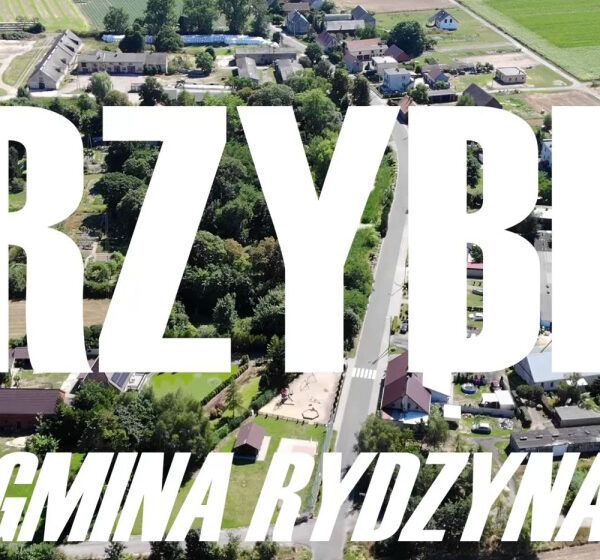 PRZYBIŃ Z LOTU PTAKA – historia, ciekawostki