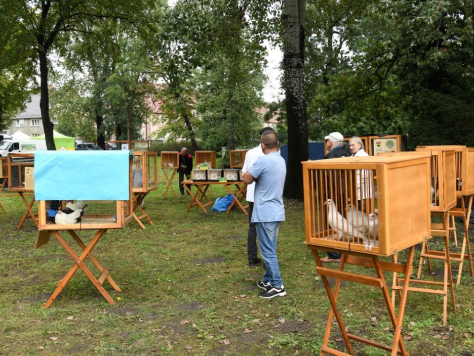 Regionalna kultura i wielkopolskie dziedzictwo zagościły w Gołaszynie