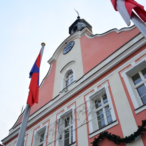 Otwarty konkurs ofert na realizację zadań publicznych Miasta i Gminy Rydzyna na 20