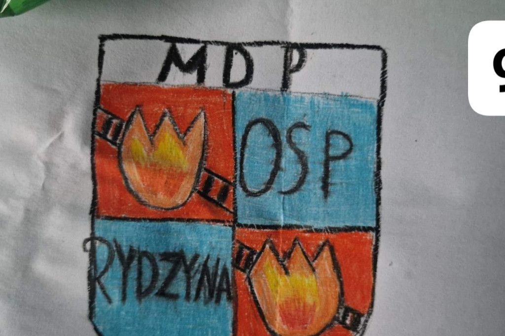 Wybierz logo MDP w Rydzynie