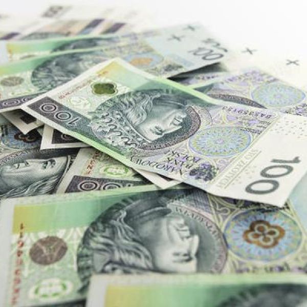 Dotacje powiatu dla organizacji społecznych