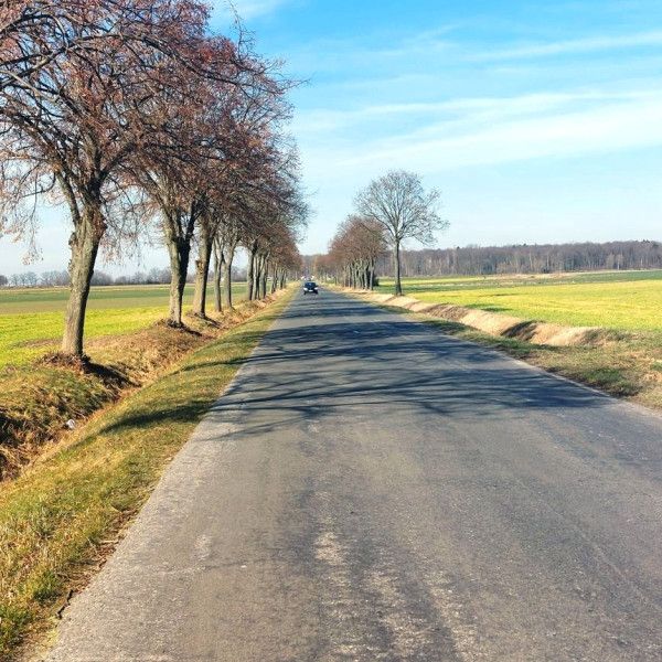 Przetarg na przebudowę drogi do Pawłowic ogłoszony