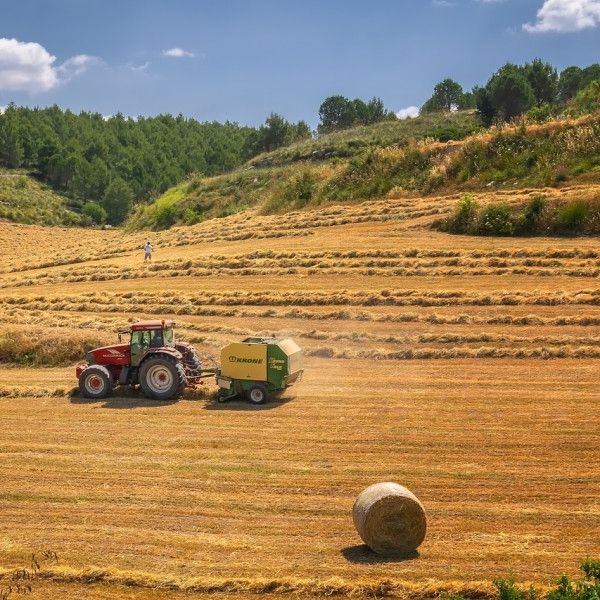 Darmowa pomoc dla rolników ze strony doradców WODR