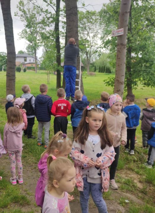 Wszyscy zajęli pierwsze miejsce – Konkurs Na najładniejszą budkę lęgową i karmnik