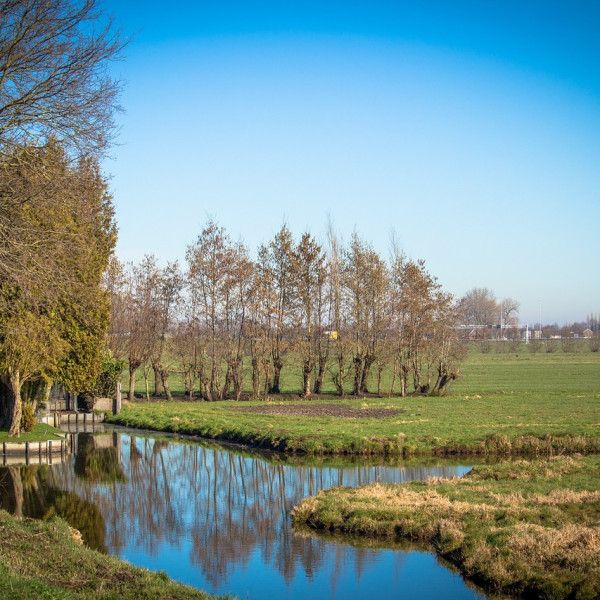 Zawiadomienie Rejonowego Związku Spółek Wodnych w Lesznie o walnych zgromadzeniach