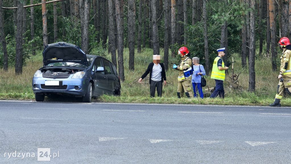 Kolizja na drodze wojewódzkiej 309 w Dąbczu: Zderzenie Toyoty i Renault przy stacj