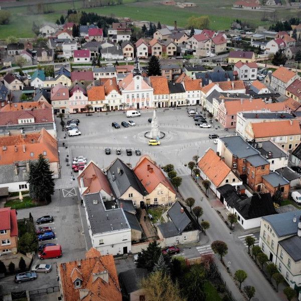 BADANIE MIESZKAŃCÓW – Strategia Rozwoju Gminy Rydzyna na lata 2024-2034