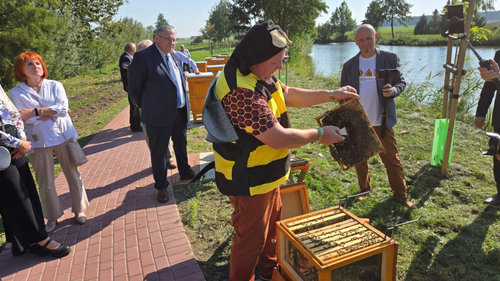 Pół miliona złotych na nowe pasieki edukacyjne w Wielkopolsce