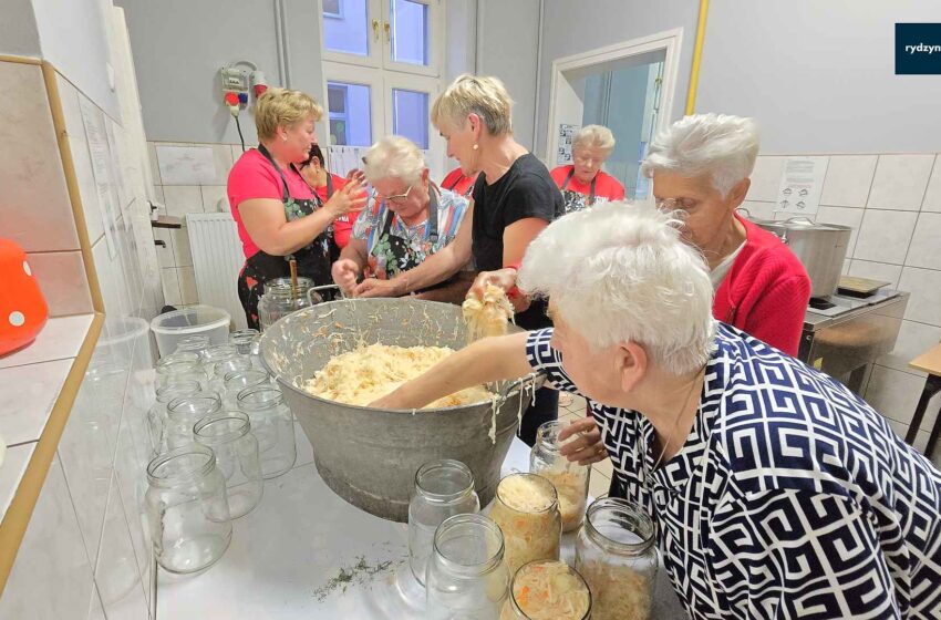 Warsztaty kiszenia kapusty i ogórków w Rydzynie – projekt „Razem w kryzysie”